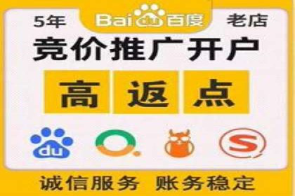 某电商平台充值返点活动用户行为分析